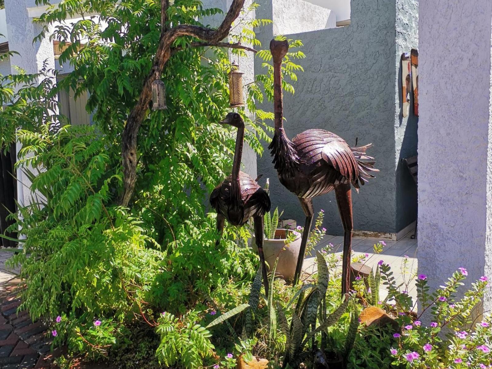 Guesthouse Terra Africa Windhoek Eksteriør bilde