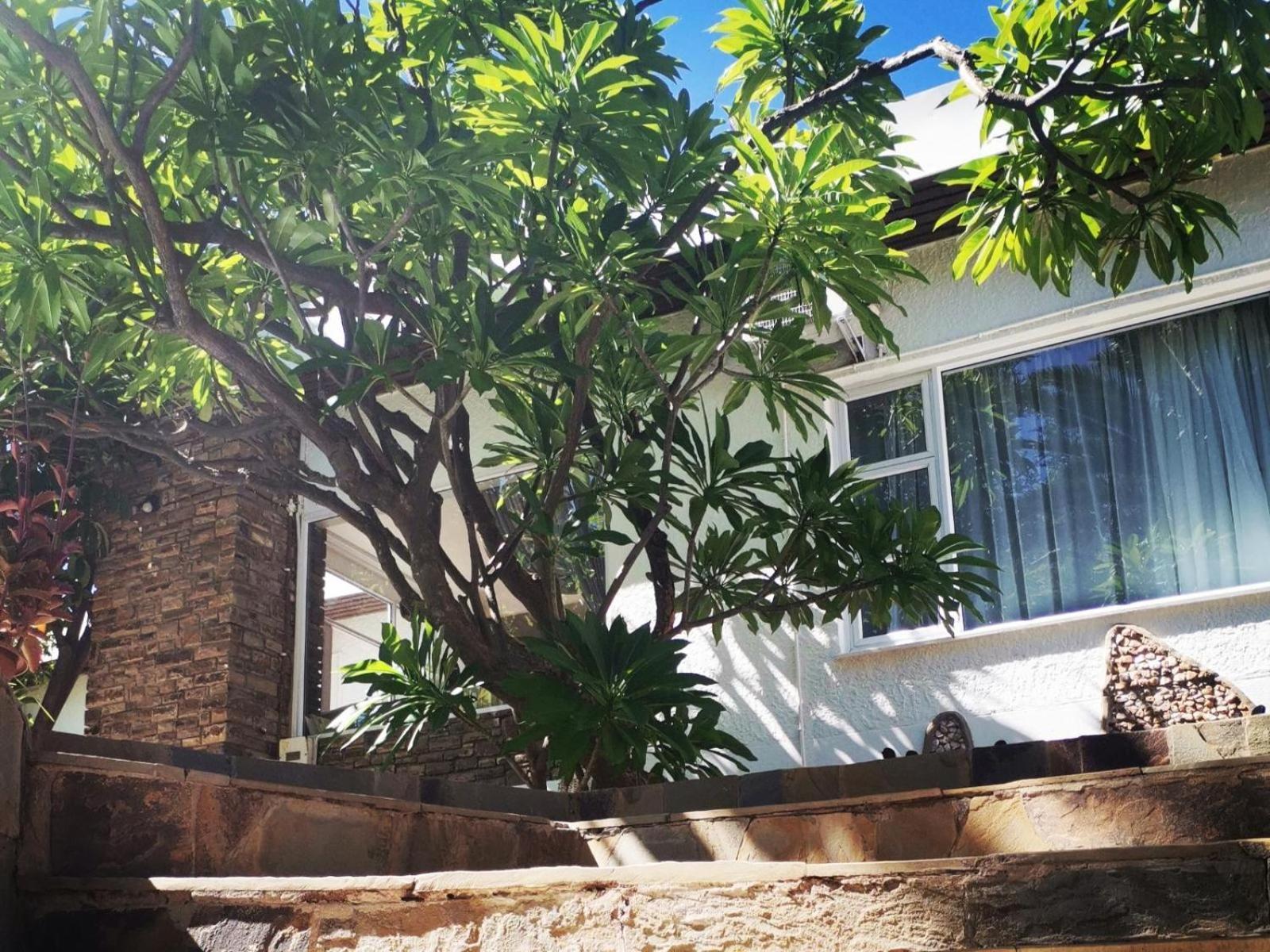 Guesthouse Terra Africa Windhoek Eksteriør bilde